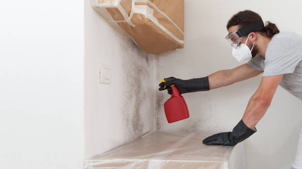 Attic Mold Remediation treatment on roof deck in West Grove